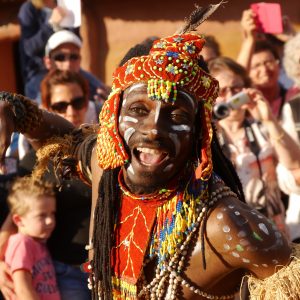 P1120349-e1474648584775